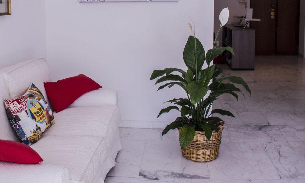 Bed and Breakfast Domus Raffaello Рим Экстерьер фото